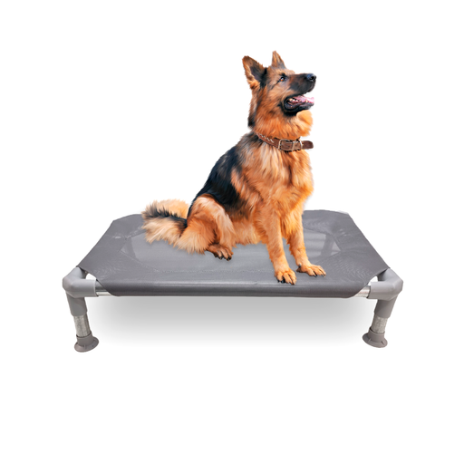 CATRE CAMA GRIS DESARMABLE para PERRO GRANDE 1,00 m  X 0,70 m - Printemps