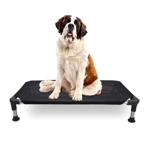 *Catre Cama DESARMABLE Negra Mascotas Perro 1,30 m X 0,80 m SUPER GRANDE - Printemps